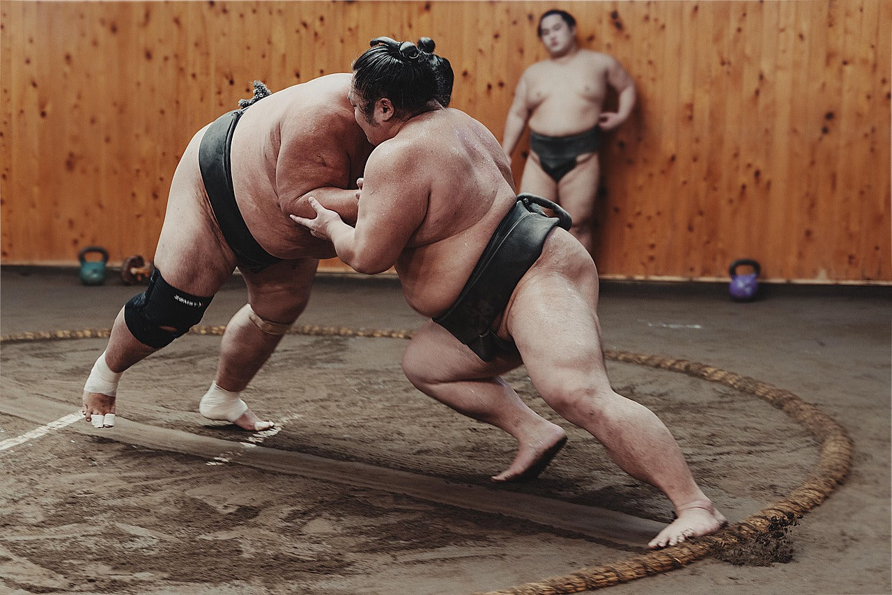 Sumo Practice with Professinal Wrestler